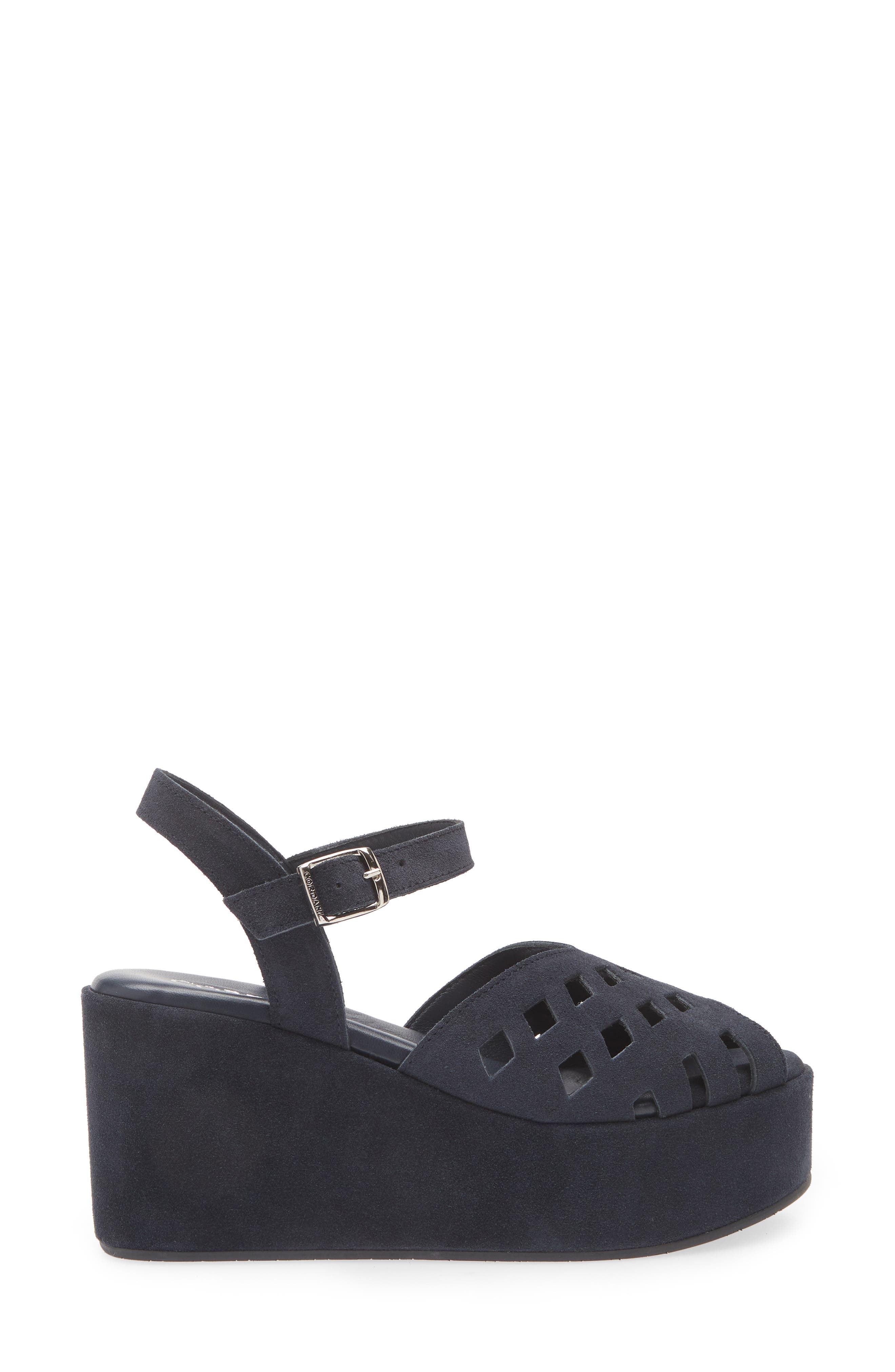 Jaymie Ankle Strap Peep Toe Platform Wedge Sandal, Alternate, color, BLUE MARINE