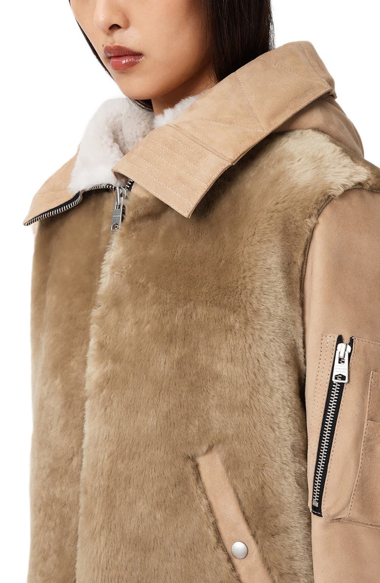 AllSaints Dexter Genuine Shearling Bomber Jacket, Alternate, color, Taupe Brown