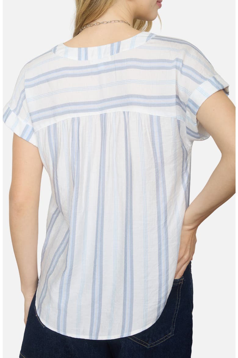 Stripe Split Neck Top, Alternate, color, LIGHT BLUE