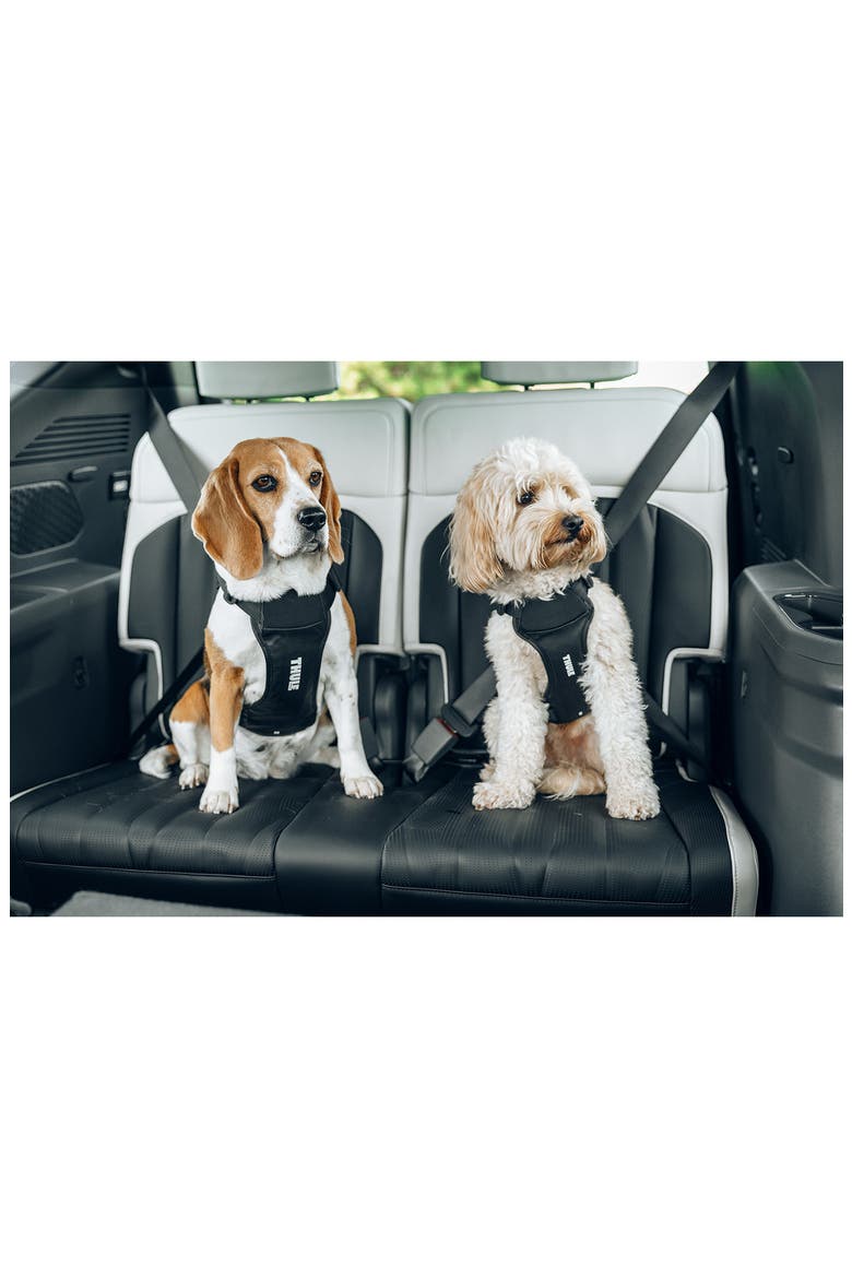 Cappy Dog Harness, Alternate, color, BLACK