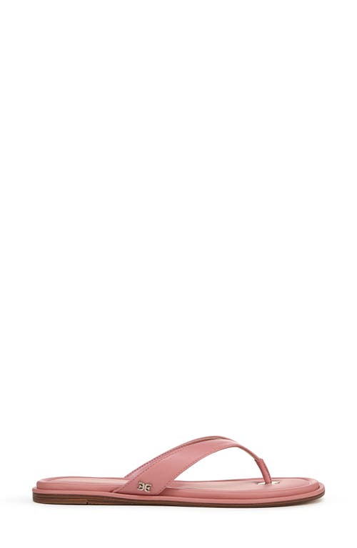 Sam Edelman Remi Leather Flip Flop Pink Lily Leather In Pink Lily