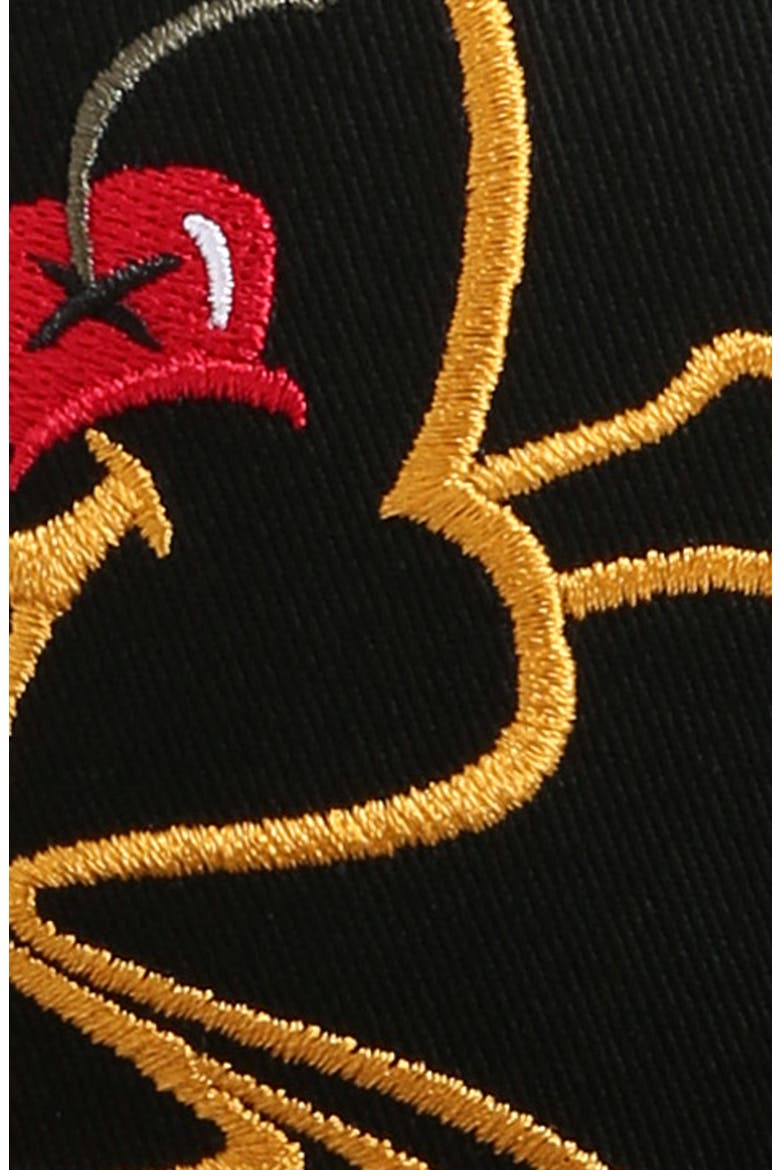 Drip Drop Embroidered Cotton Baseball Cap, Alternate, color, BLACK