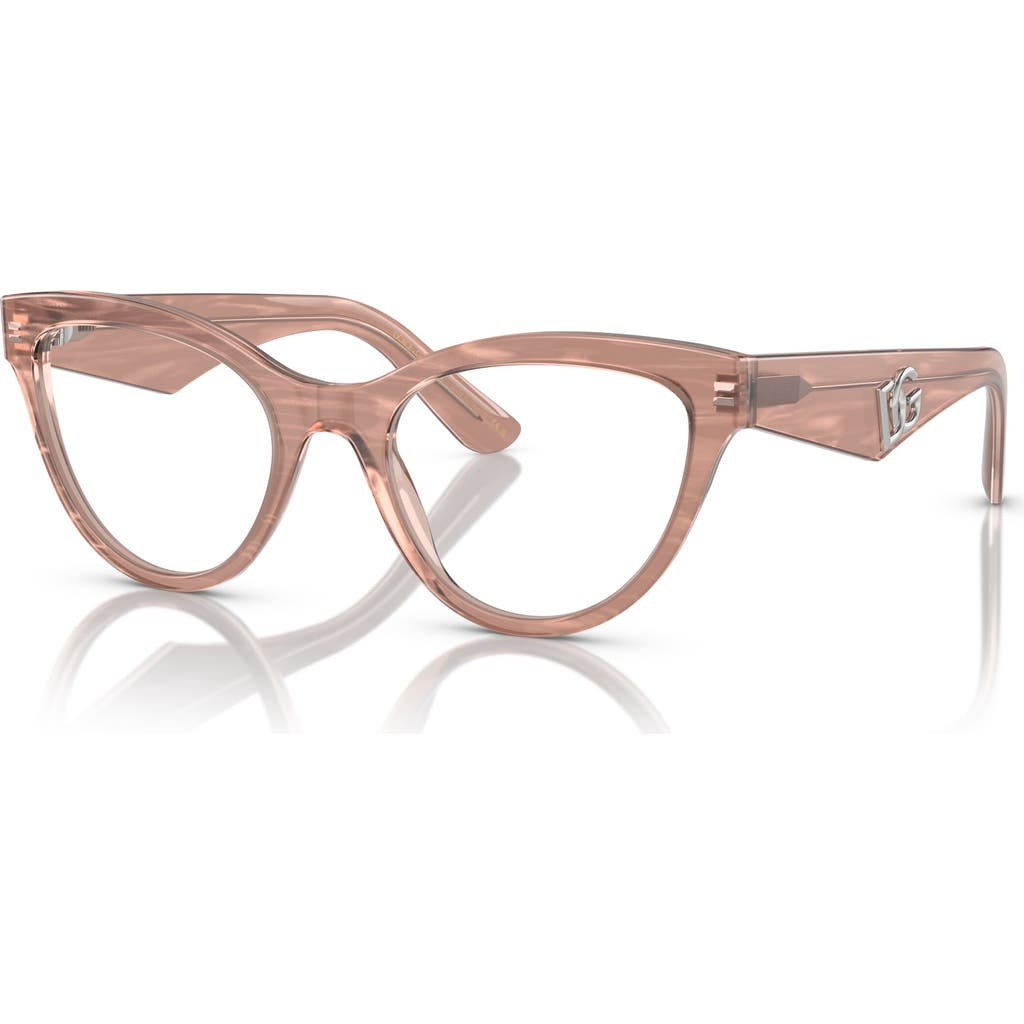 Dolce&Gabbana 50mm Butterfly optical glasses in Brown  product