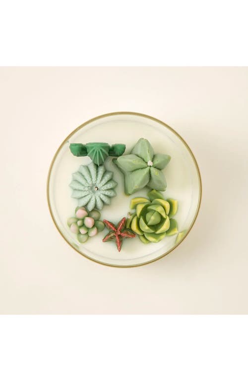 Zoet Studio Cactus Terrarium Candle