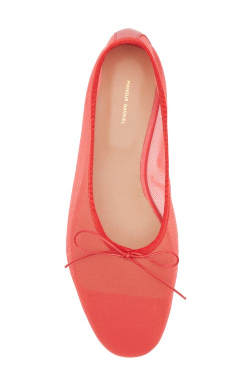 Mansur Gavriel Dream Mesh Ballerina Flat In Bright Red