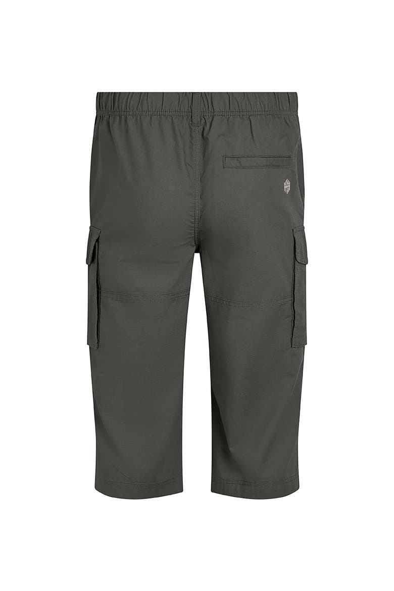 Summersville 3/4 Length Cargo Trousers, Alternate, color, Dark Grey