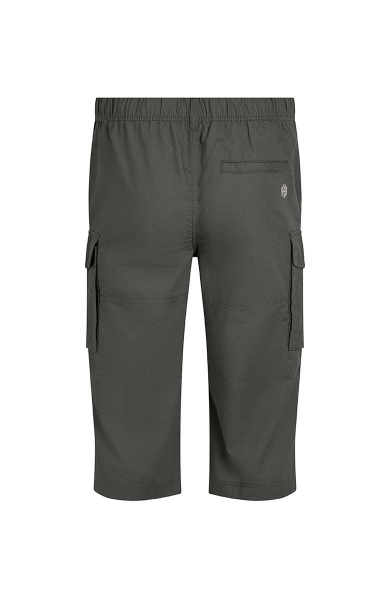 Weird Fish Summersville 3/4 Length Cargo Trousers, Alternate, color, Dark Grey