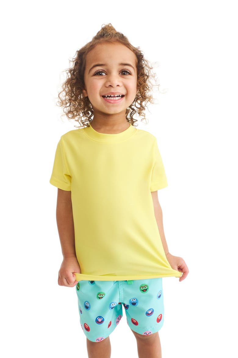Kids Sesame Street Swim Trunk, Alternate, color, Mist Sesame Street Friends