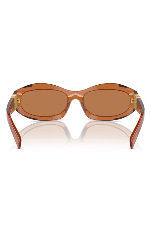 Miu Miu Transparent Sunglasses In Caramel