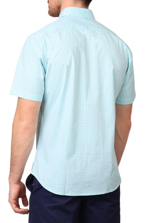 Tailorbyrd Gingham Short Sleeve Stretch Cotton Button-up Shirt In Seafoam