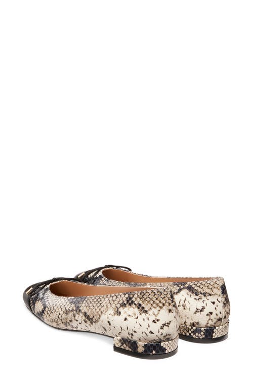 Stuart Weitzman Sleek Cap Toe Bow Flat In Multi