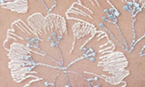 Etam Flowers Embroidered Hipster Panties In White