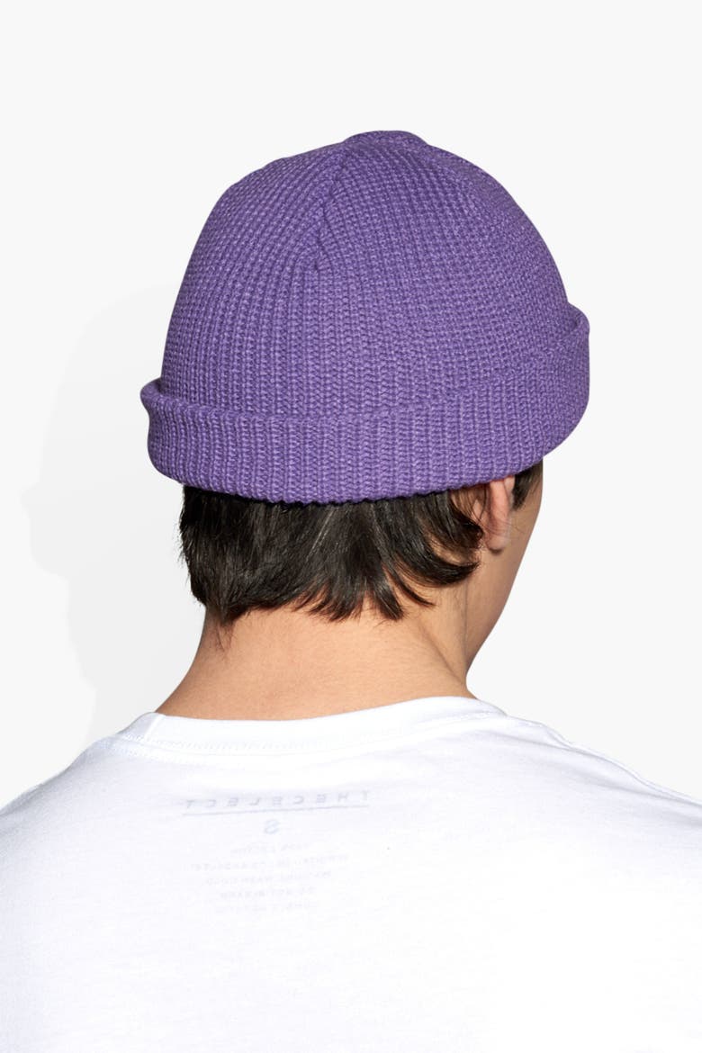 Mini Beanie, Alternate, color, purple