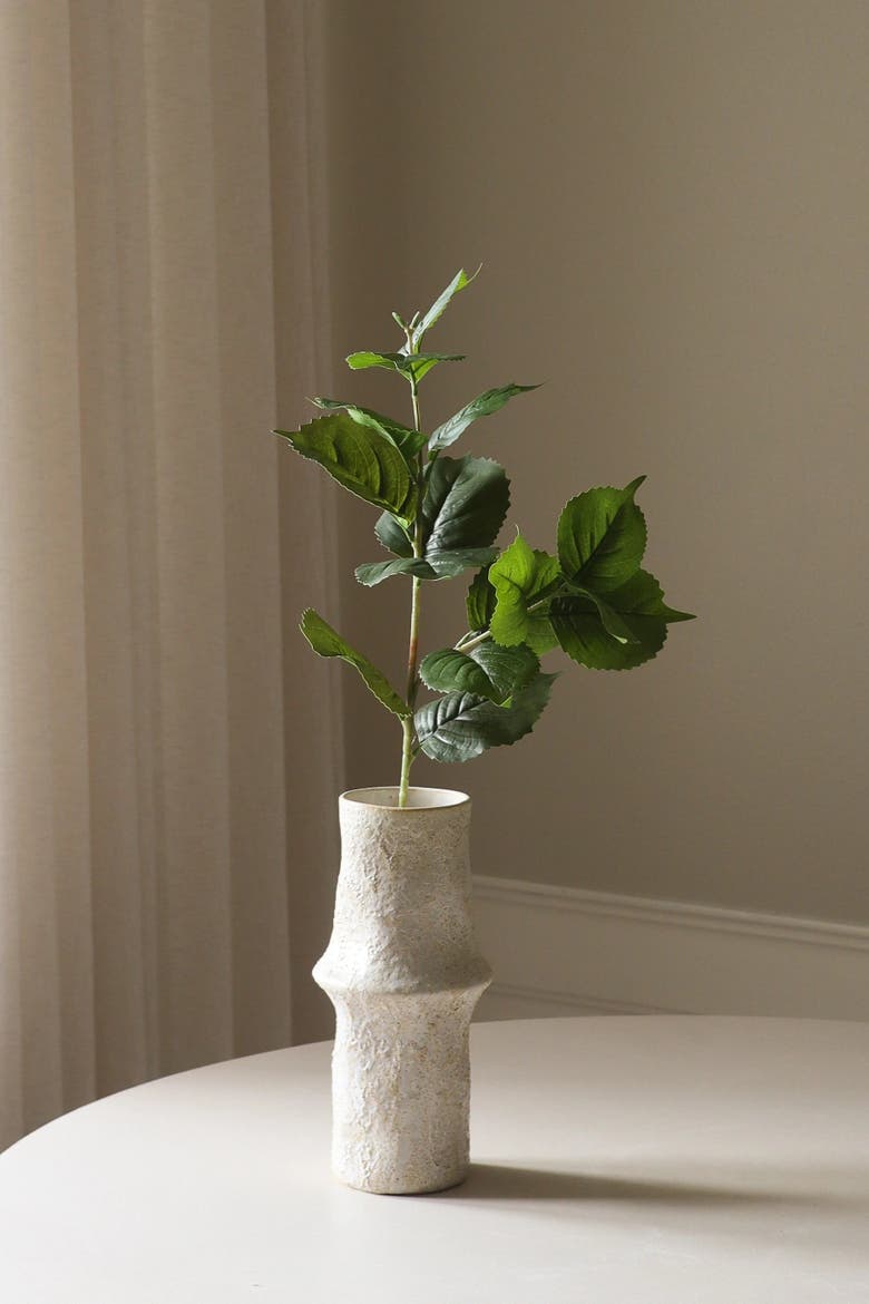 Green Hydrangea Leaves, Alternate, color, Green