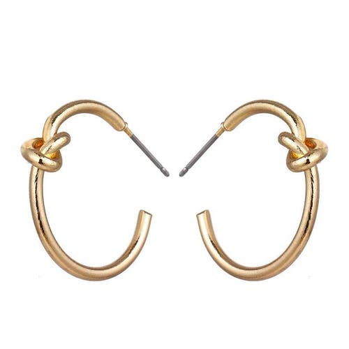 Hollywood Sensation Knot Hoop Earrings In Gold