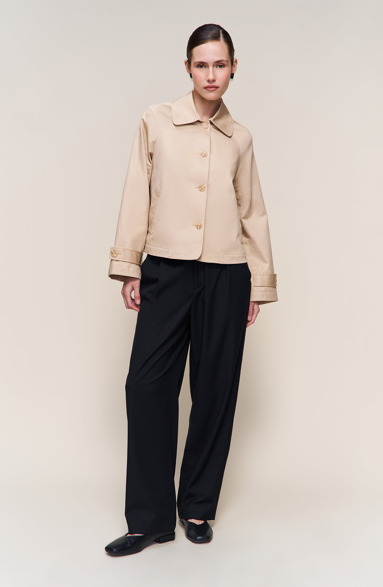 Guizio Romeo Trench Coat, Alternate, color, Taupe