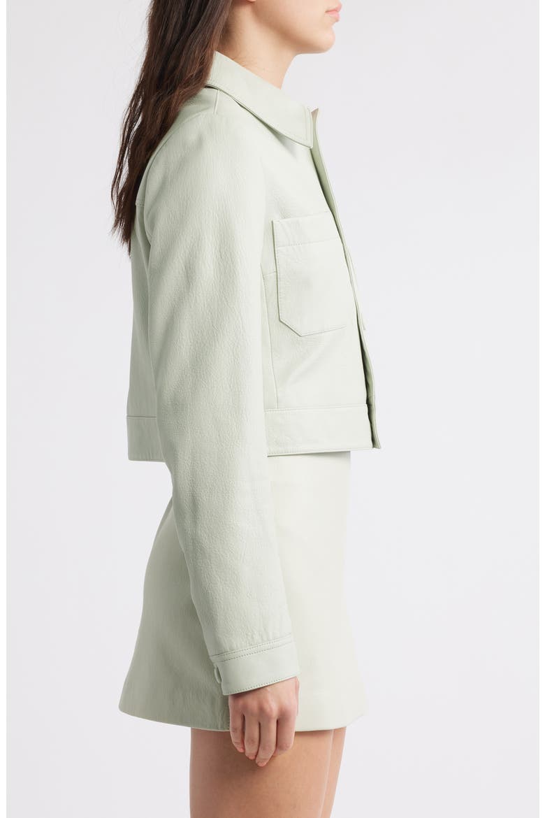 Crop Leather Jacket, Alternate, color, SOFT MINT