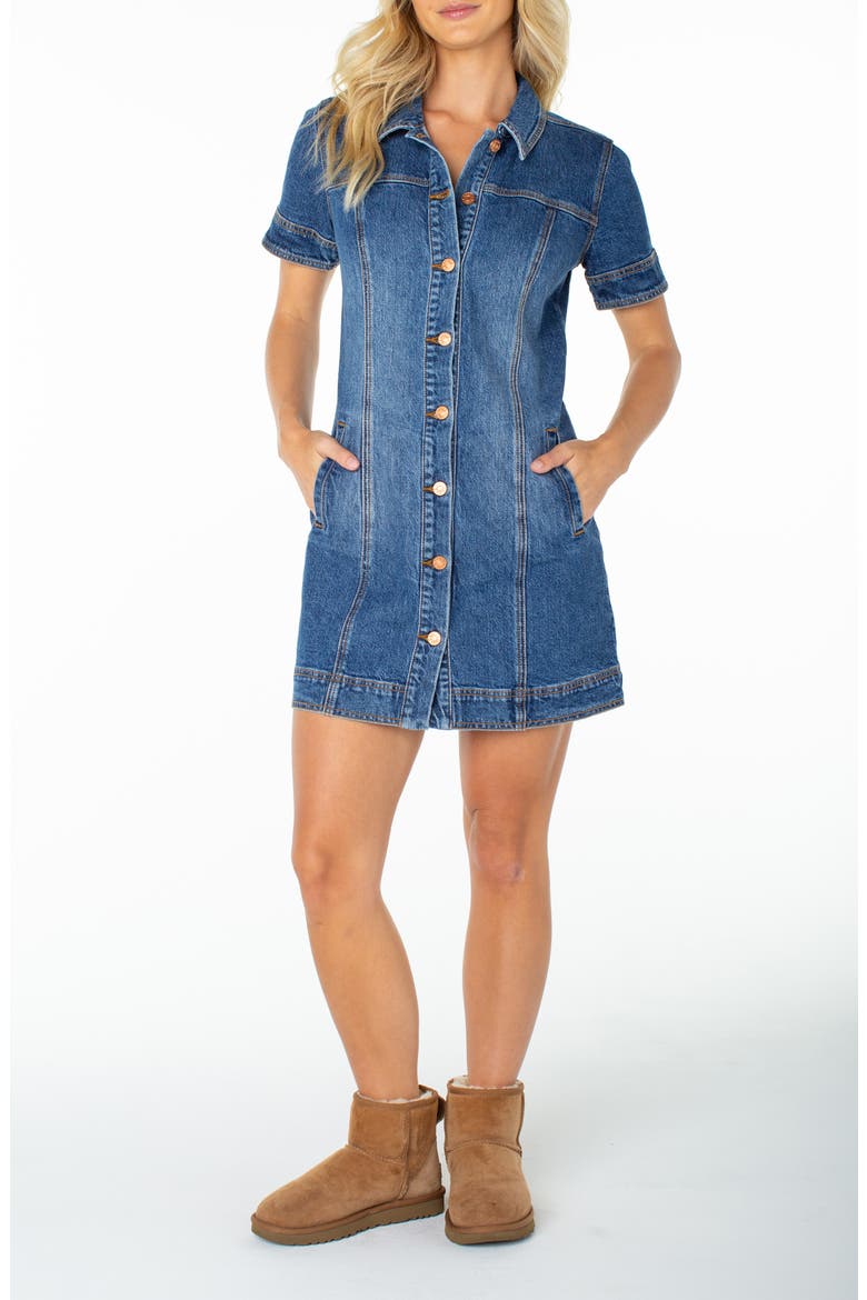 Dusk After Dark Button-Up Minidress, Main, color, MIRAGE BLUE