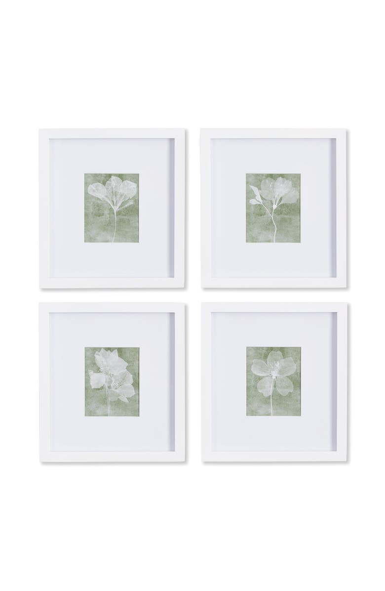 Napa Home & Garden Translucent Floral Petite Prints Set of 4, Main, color, 