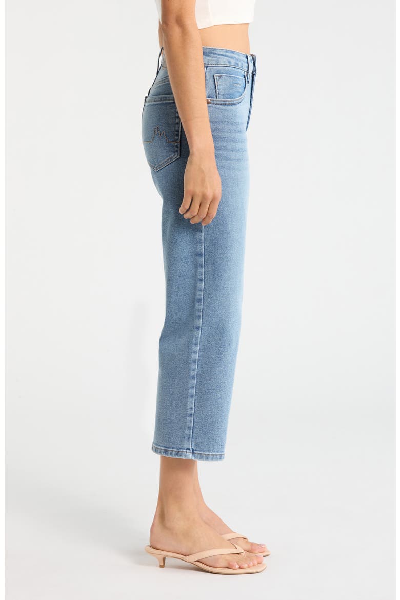 Dover Crop Straight Leg Jeans, Alternate, color, LIGHT AGED WASH