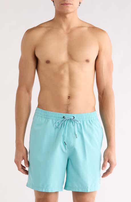 Quiksilver Everyday Solid Volley Swim Trunks