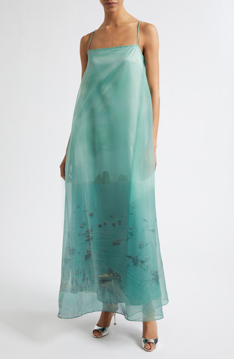 STAUD Delfina Print Organza Maxi Dress, Main, color, Endless Summer