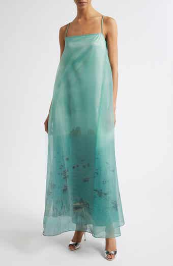 Delfina Print Organza Maxi Dress