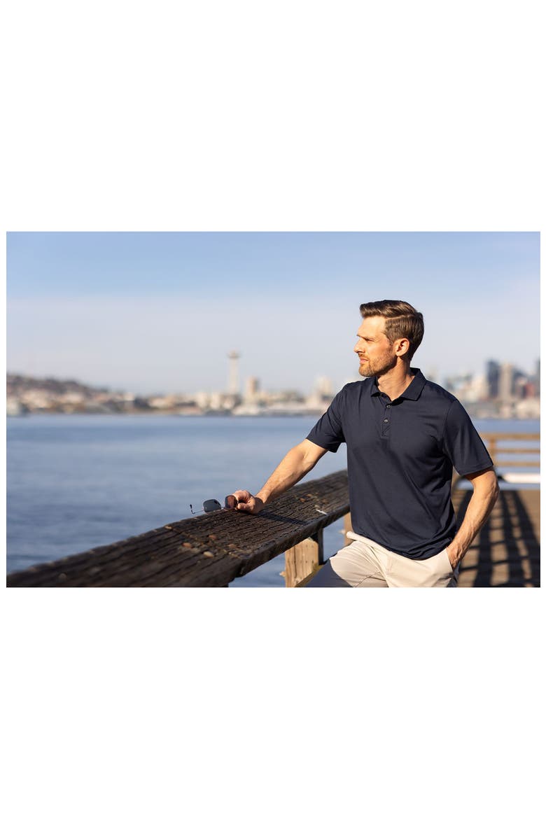 Coastline Epic Comfort Polo, Alternate, color, NAVY BLUE