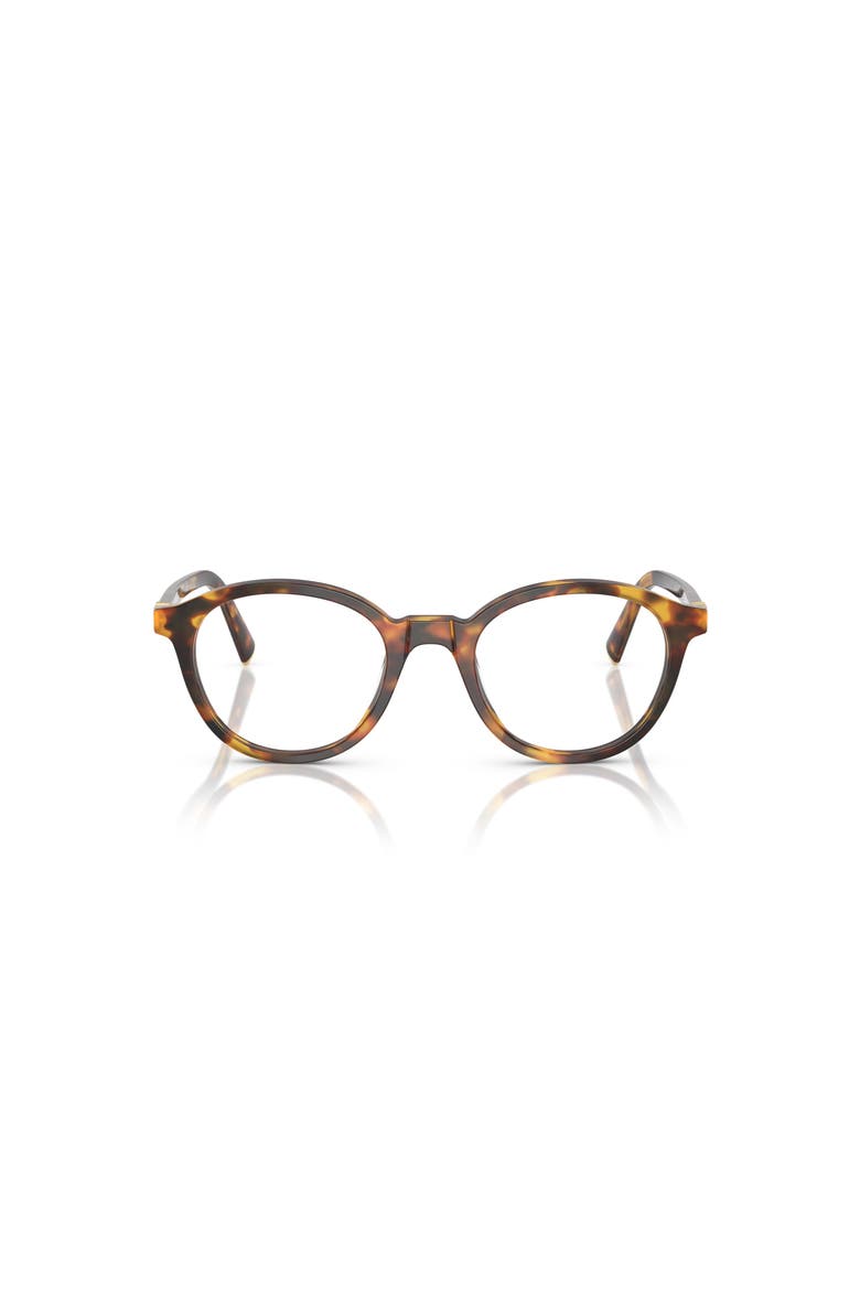 50mm Round optical glasses, Alternate, color, Tortoise