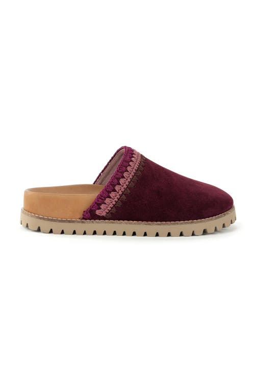 The Sak Bolinas Lug Sole Clog In Burgundy