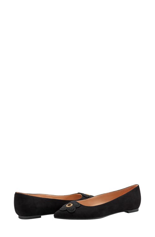 BANDOLINO BANDOLINO STARRY POINTED TOE FLAT
