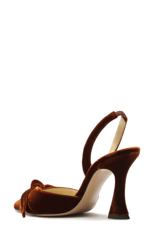 Alexandre Birman Clarita Bow Pointed Toe Slingback Sandal In Brown