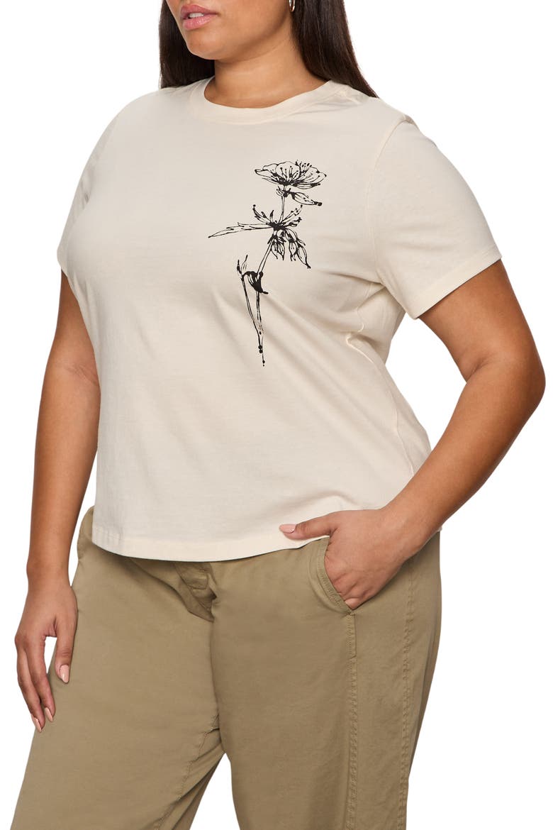 Timeless Dandelion Graphic Organic Cotton T-Shirt, Alternate, color, COLLAGEN WHITE/ DANDELION