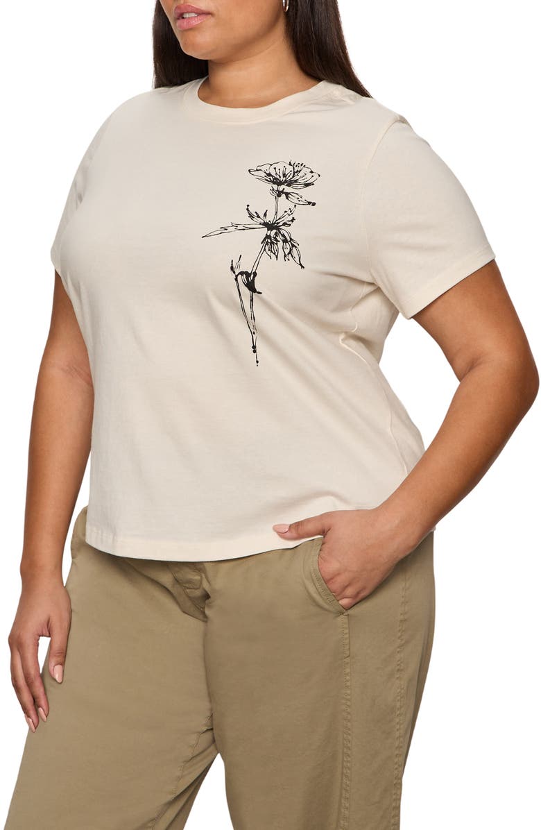 Sanctuary Timeless Dandelion Graphic Organic Cotton T-Shirt, Alternate, color, Collagen White/ Dandelion