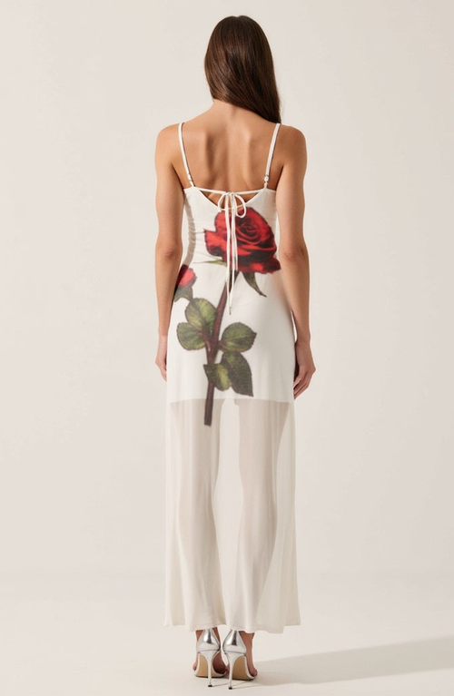 Modenaire Sheer Mesh Maxi Dress With Spaghetti Straps In Multi