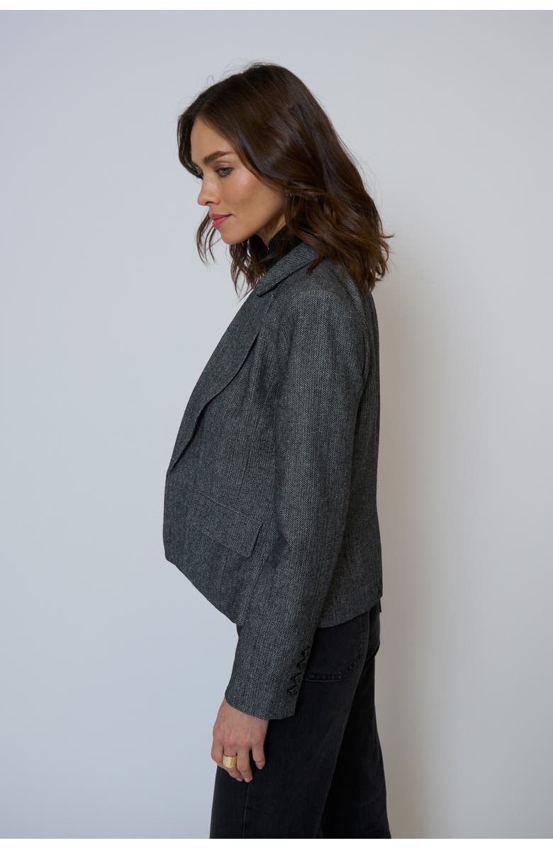 Central Park West Billie Herringbone Jacket, Alternate, color, 