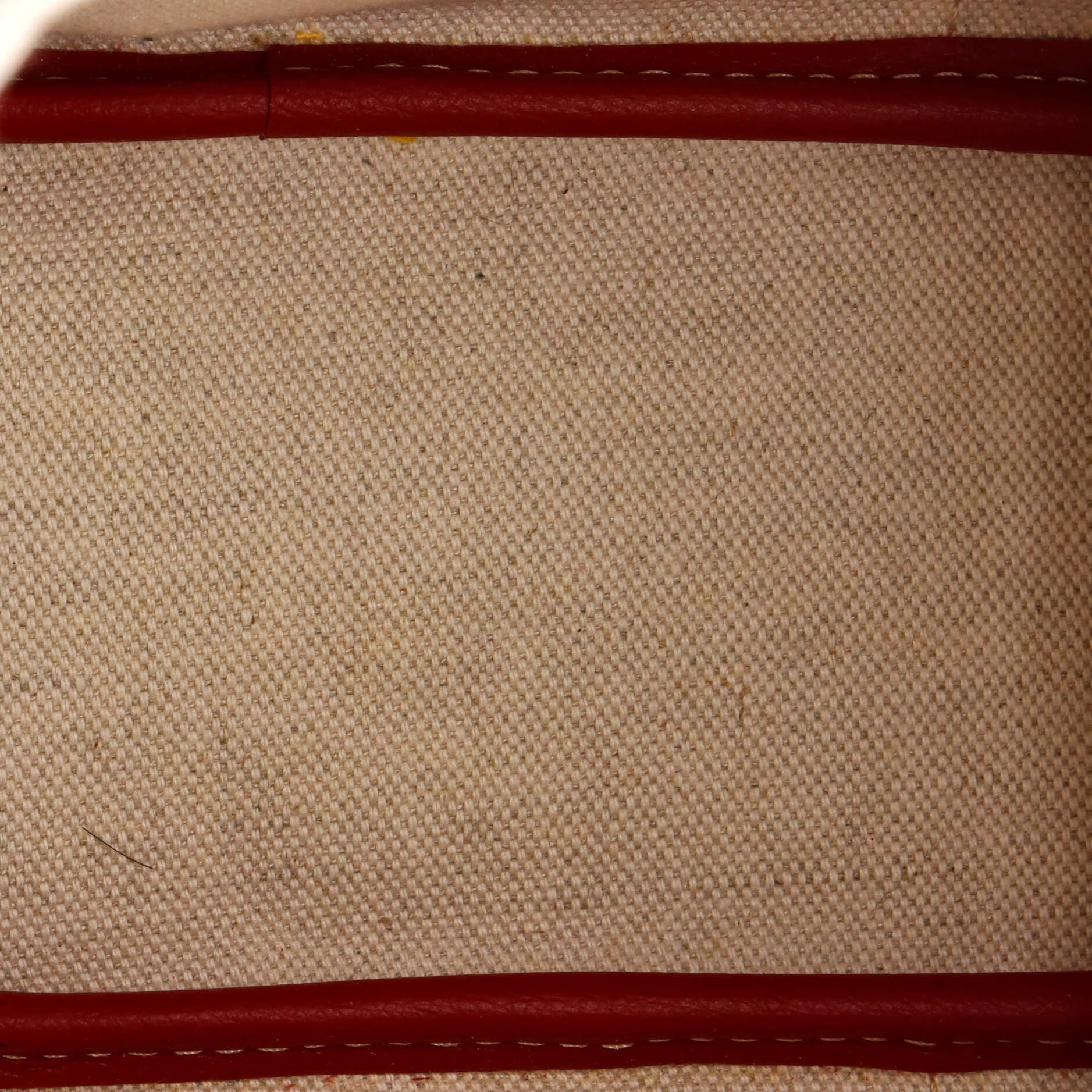 Beluga Bag Coated Canvas Mini, Alternate, color, Red