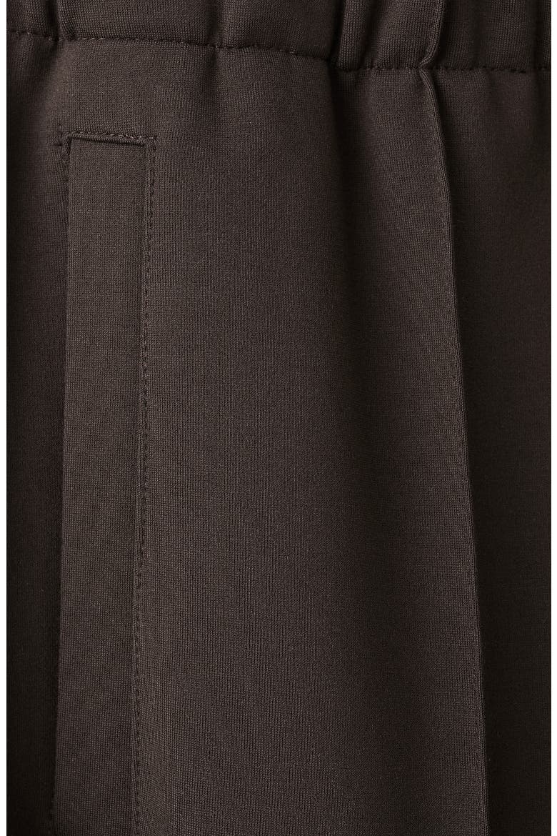 Pintuck Pleat Track Pants, Alternate, color, BROWN