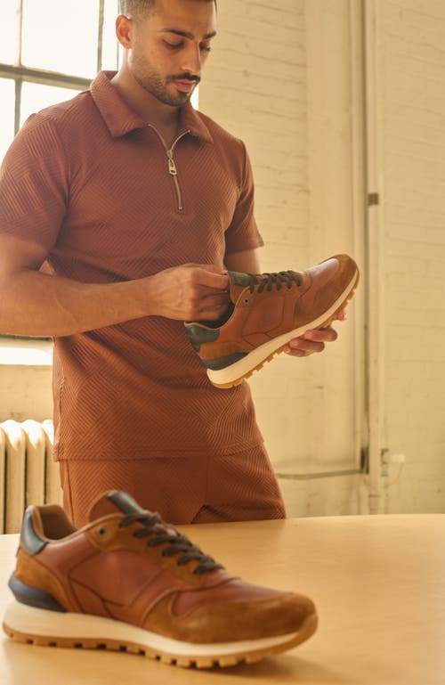 Anthony Veer Edward Runner Sneaker In Multi