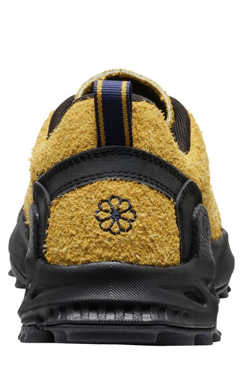 Keen Jasper Zionic Hiking Sneaker In Multi