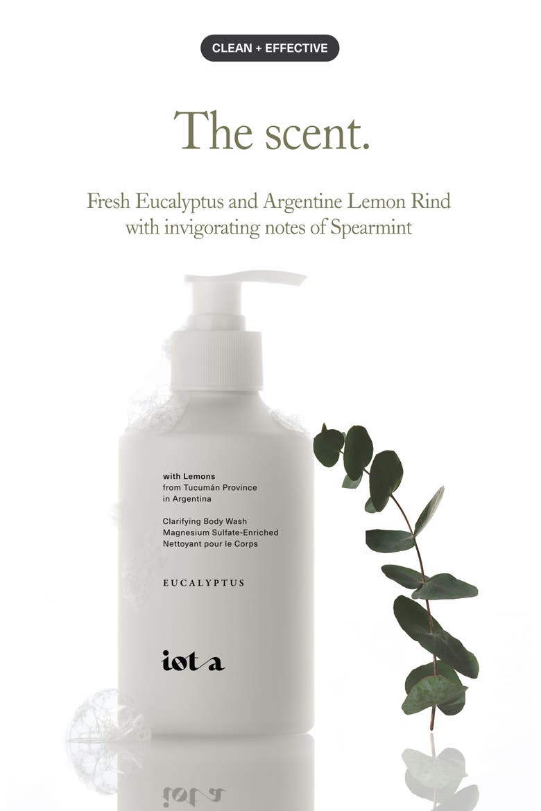 Clarifying Body Wash in Eucalyptus Leaf + Argentine Lemon Rind, Alternate, color, NO COLOR