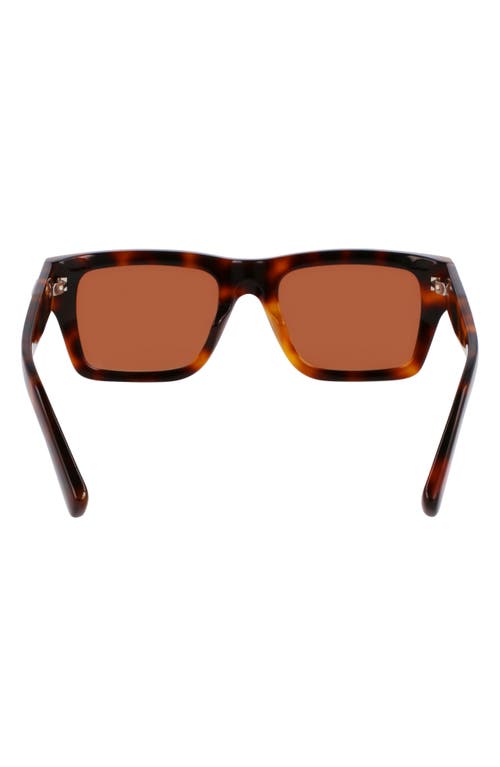 Ferragamo Prisma 53mm Modified Rectangular Sunglasses In Tortoise