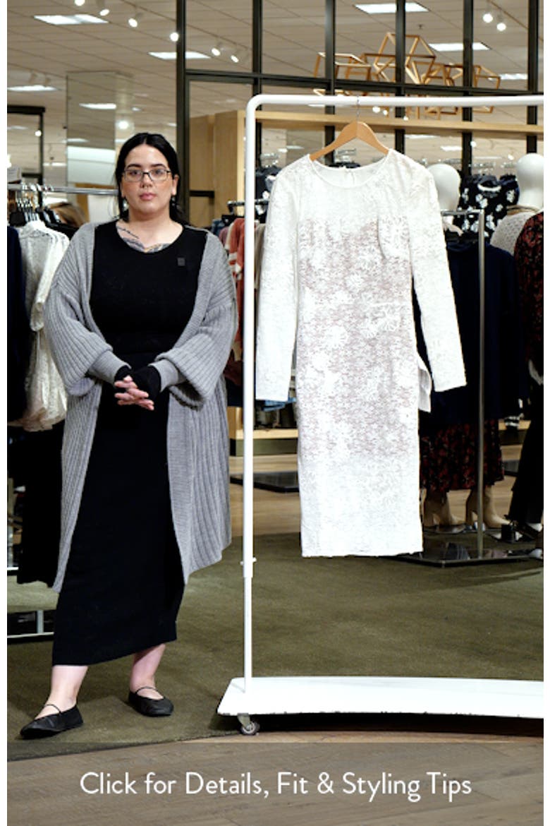 Sophia Long Sleeve Embroidered Lace Dress video