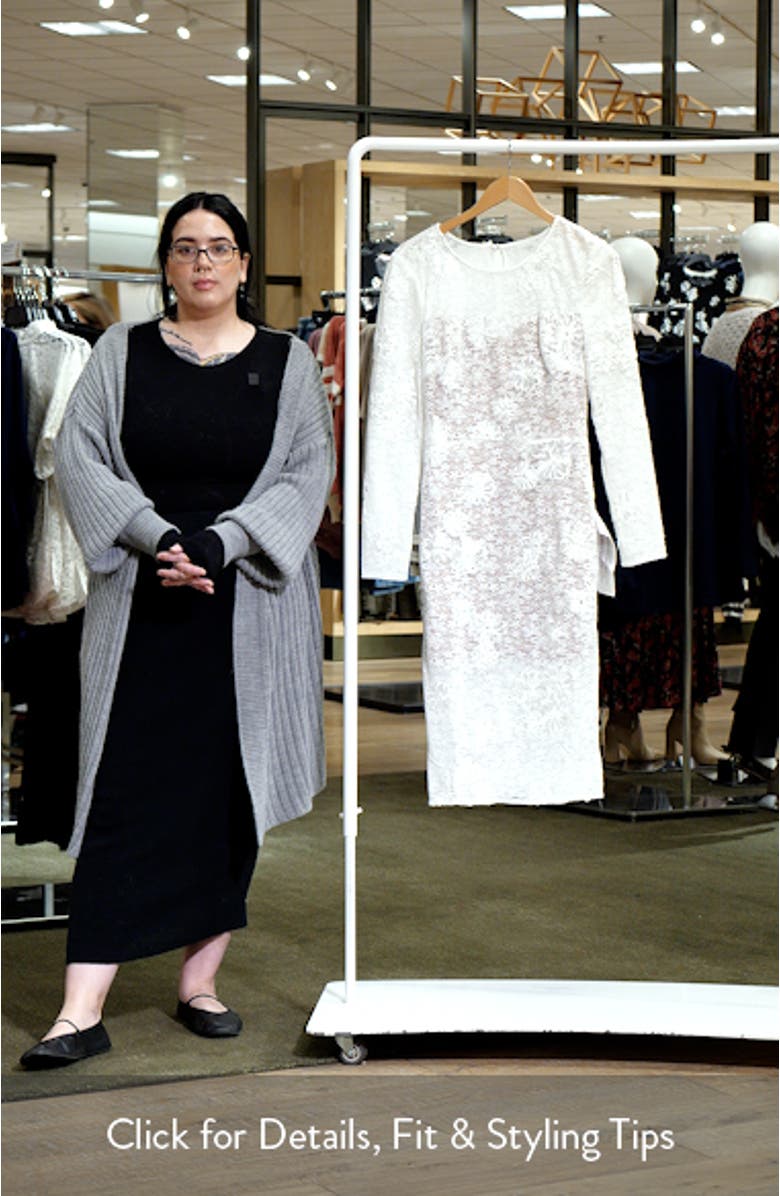 Sophia Long Sleeve Embroidered Lace Dress, sales video thumbnail