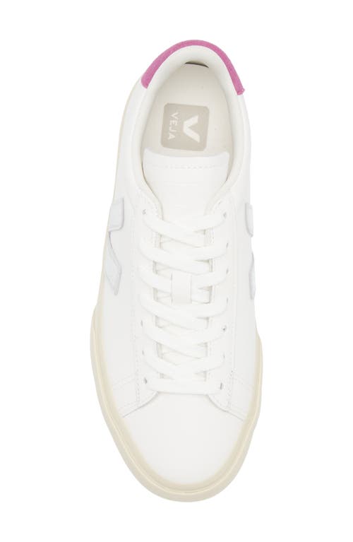 Veja Campo Sneaker In Multi