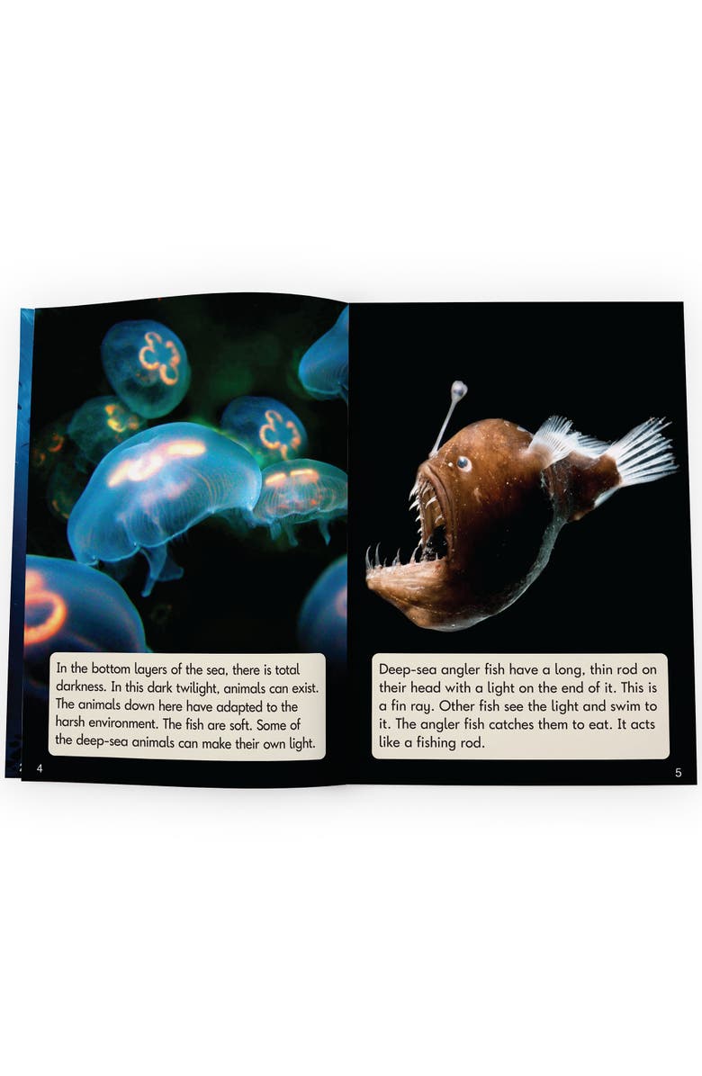 Junior Learning Real World Phase 5 Hilo Decodable Books, Alternate, color, Multicolored