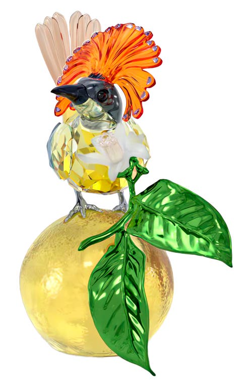 Swarovski Idyllia Royal Flycatcher Crystal Figurine In Multicolored