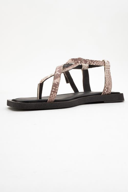 Forever & Always Shoes Morgana Leather Thong Sandal In Brown
