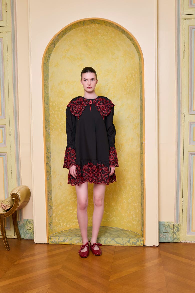 The Broderie Anglaise Edit Embroidered Detail Mini Dress, Alternate, color, BLACK