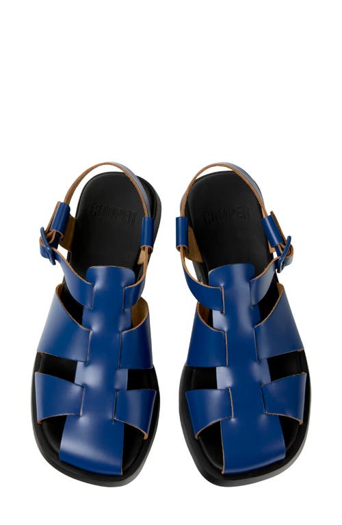 Camper Dana Buckled Leather Sandals In Blue